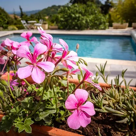 Provencal - Saint Marc Forcalquier