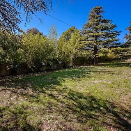 Holiday home Provencal - Saint Marc *