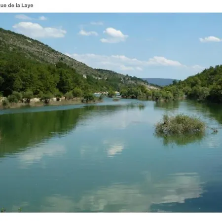 Provencal - Saint Marc *